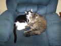 Joey Chandler Ross and Dolly Faith Wynonna relaxing!!!